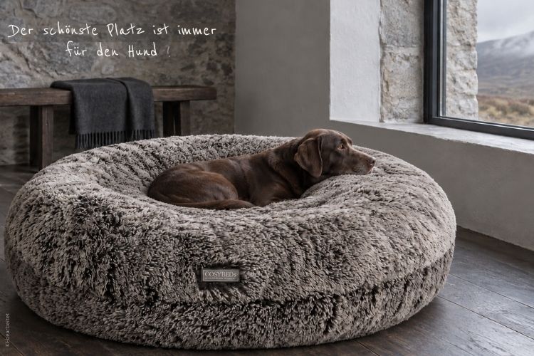COSYBEDs